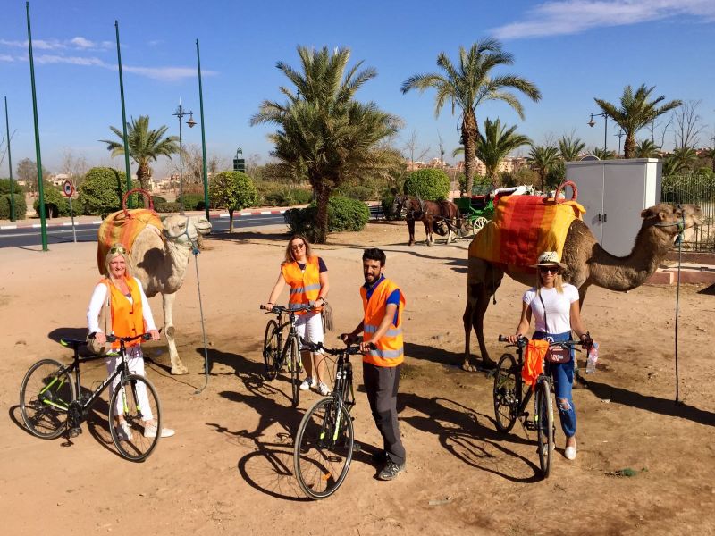 bicycles morocco marrakech palmeriea