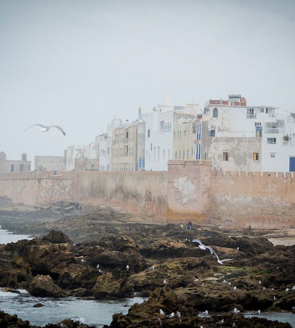 essaouira, morocco, town, wall, birds