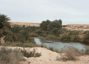 agadir, el borj desert, desert, sahara