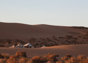agadir, el borj desert, desert, sahara, tent