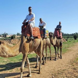 camel-ride-morocco_orig
