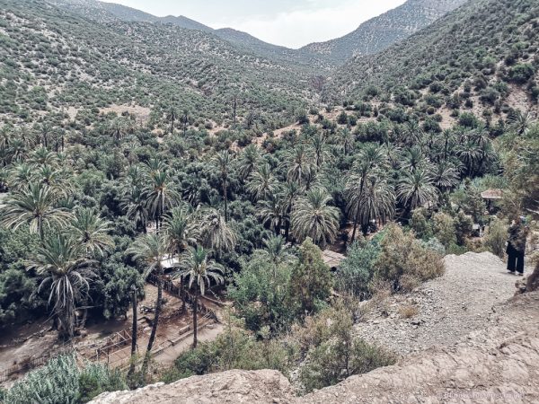 paradise valley morocco river palm trees