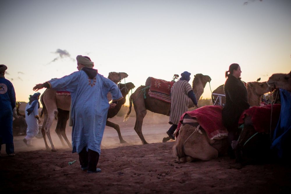 camels, desert, morocco, people, sand, sunset