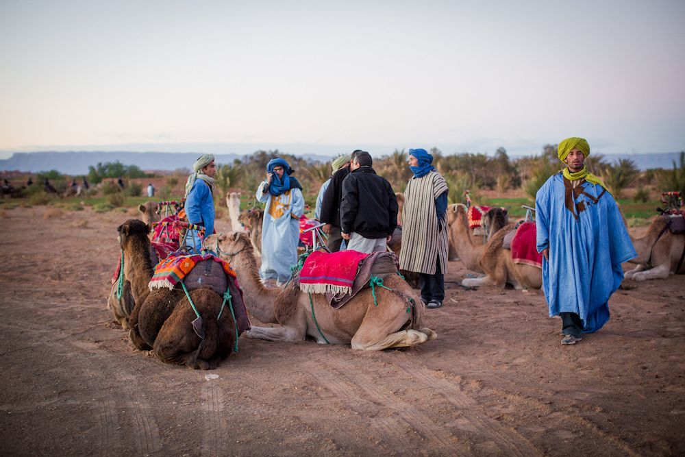 camels, desert, morocco, people, sand