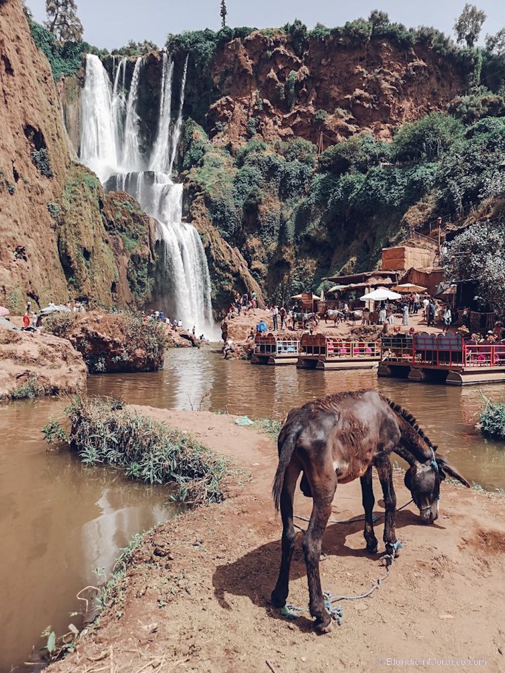 ouzoud, waterfall, morocco, mountain, view, donkey