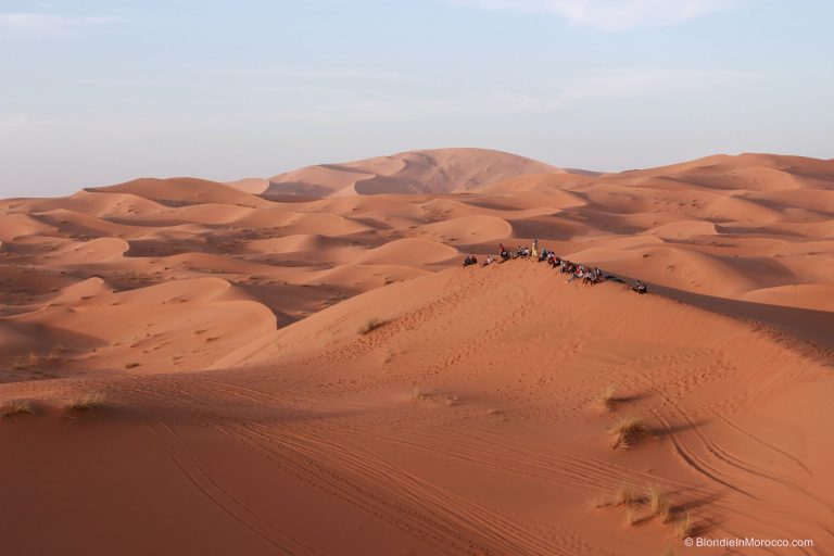 Sacharos dykuma, Marokas – įspūdžiai iš 3 dienų turo