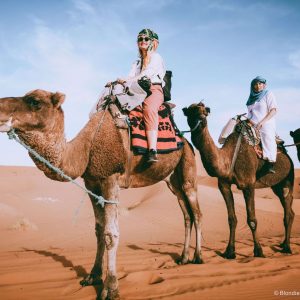 sacharos dykuma marokas kupranugariai