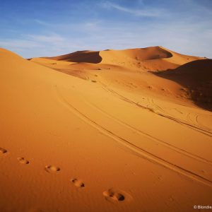 Sacharos dykuma Marokas